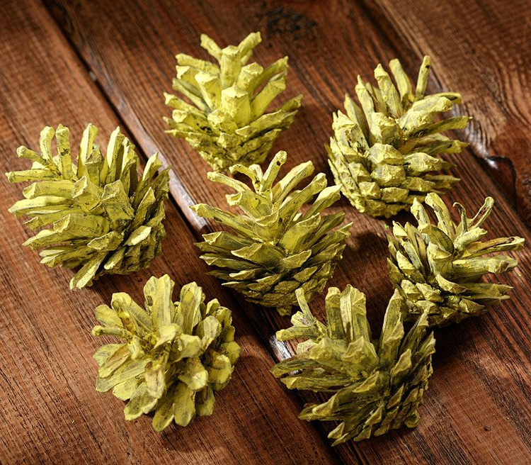 Yellow set of dried plants 