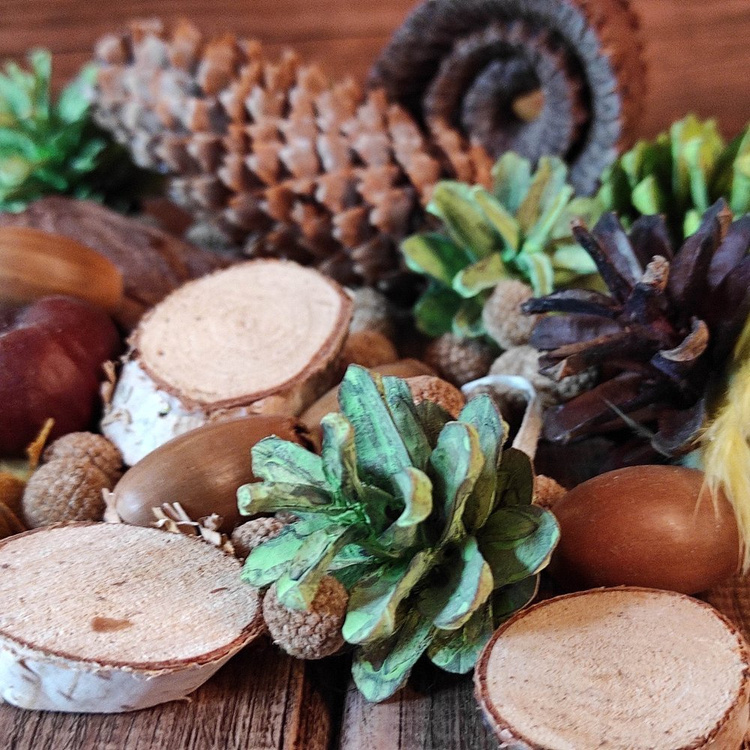 Natural Summer Potpourri 