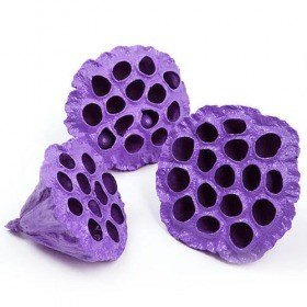 Lotus dyed diameter 6-8 cm 6 pcs/pkg purple