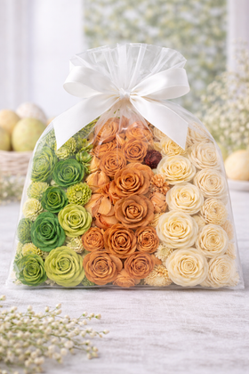 Magnolie Sola am Stäbchen, 6 Stck - rot