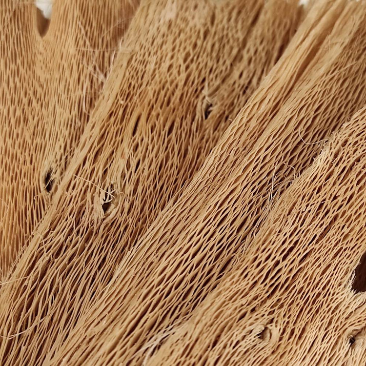 Papaya bark, sheets 28x10 cm, 250g
