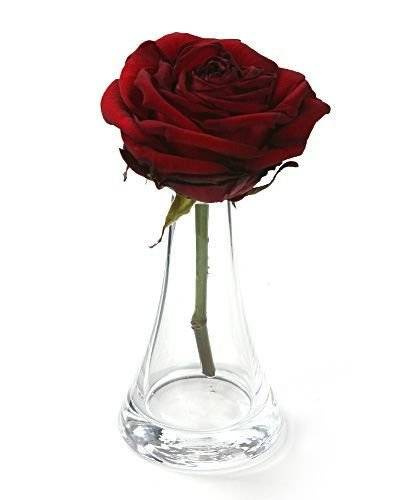 Blumennahrung in Beuteln 10 Stück / Pkg.