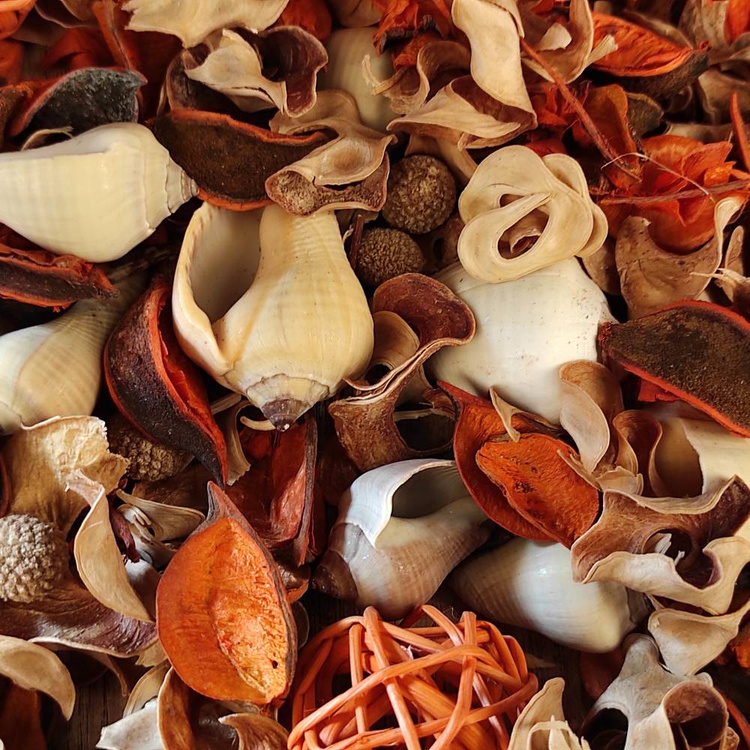 Potpourri Sommer 3 