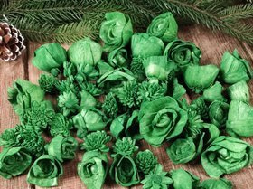Getrocknete Salzblumen 45-50 Stück / Packung - Grün