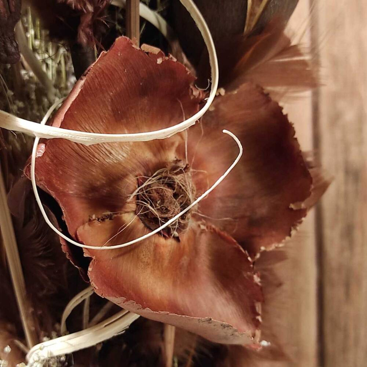 Strauß getrockneter Pflanzen 40-50 cm 