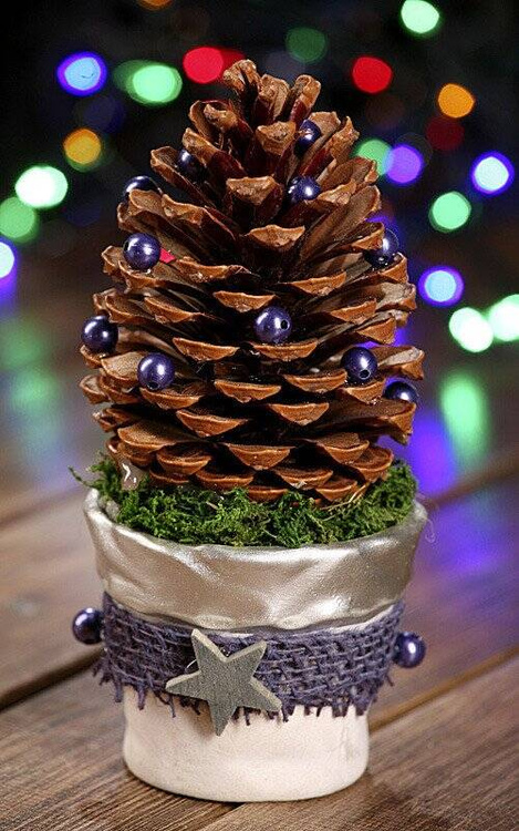 cone on a birch base