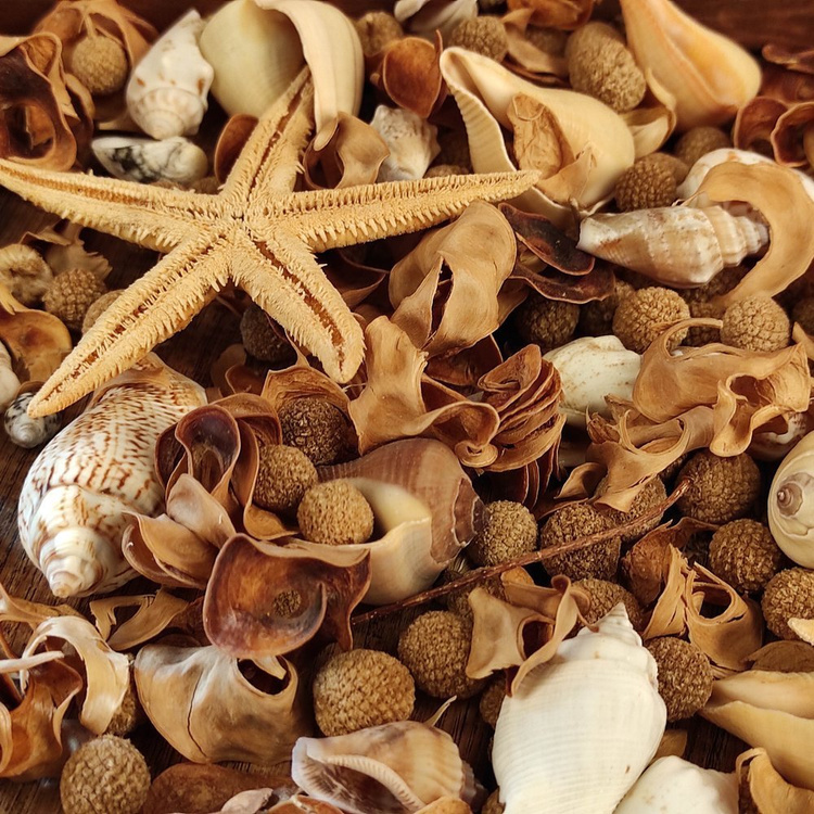 Potpourri Natura Summer 2 