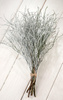 Zweige von Heidelbeeren, Bündel aus 8-10 Zweigen, Länge ca. 30 cm, weiß