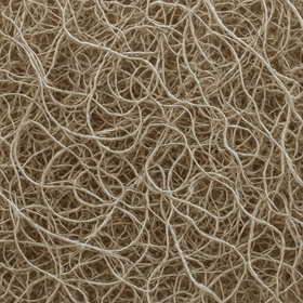 Curly Moos, 30g g, gebleicht