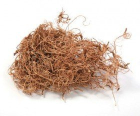 Curly moss, 0.5 kg
