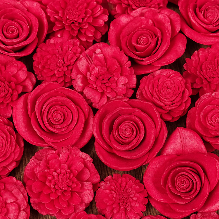 Dried salt flowers 45-50 pcs / pack - Red