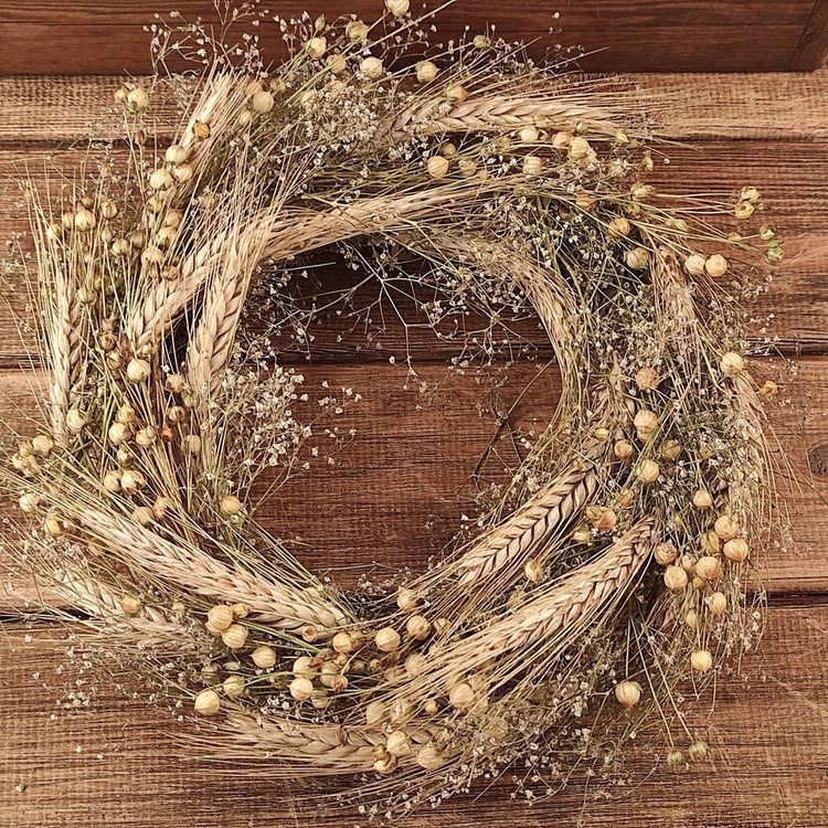 Zboże suszone owies dekoracyjne naturalne 60-70 cm 24 szt/op