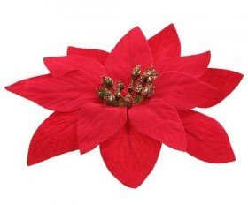 Star of Bethlehem poinsettia red - 4 pcs / p Diameter 12 cm.