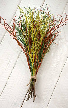 Zweige von Heidelbeeren, Bündel aus 8-10 Zweigen, Länge ca. 30 cm, Mischung