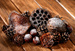 Snowy set of dried plants 