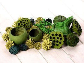 Dekoratives, grünes Set der trockenen Vegetation