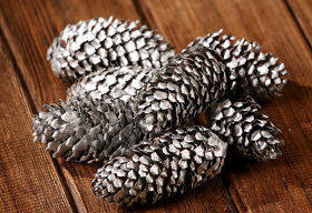 Silver Spruce Cones 6pcs/pkg