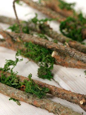 Bemooste Stöcke 40 cm, Bündel aus 6 Stücken