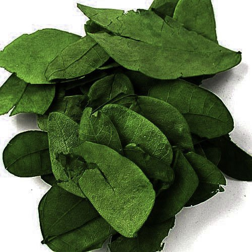 Dyed leaves, 30 g, ca 850 pcs - dark green 0,5 l