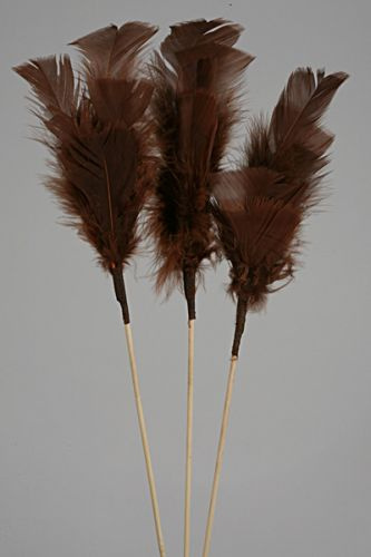 Federn am Stiel (3 Stck) 34 cm - braun