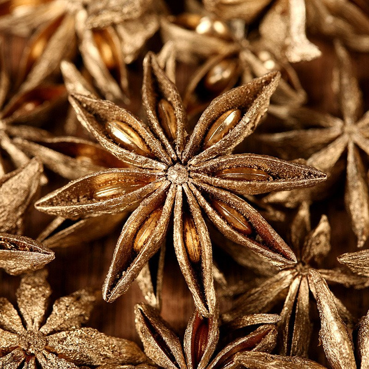 Złoty anyż dekoracyjny 12 szt. GrandDeco – gwiazdki świąteczne, ozdoby naturalne