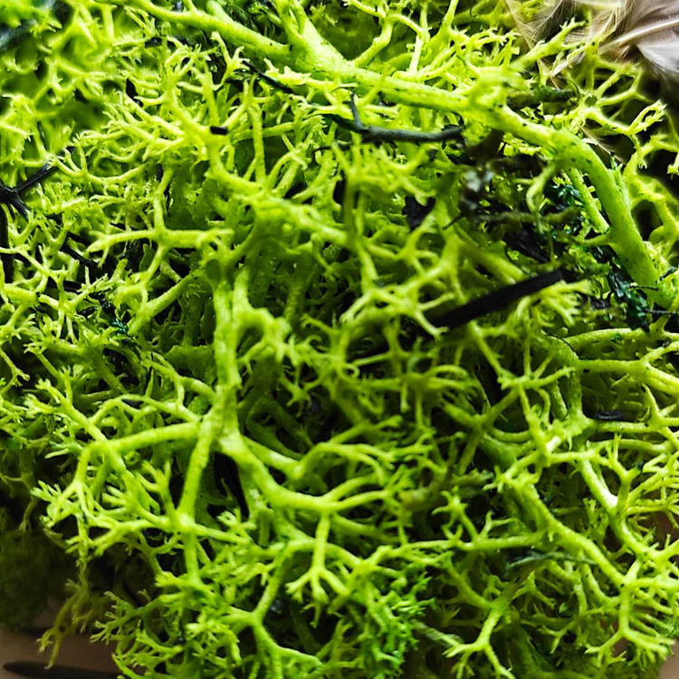 Eggs, hangers, Easter eggs to decorate 85mm, pack of 8 