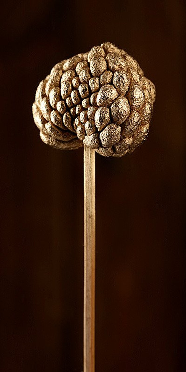 set of plants on stick- Gold