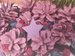 Potpourri wz 12