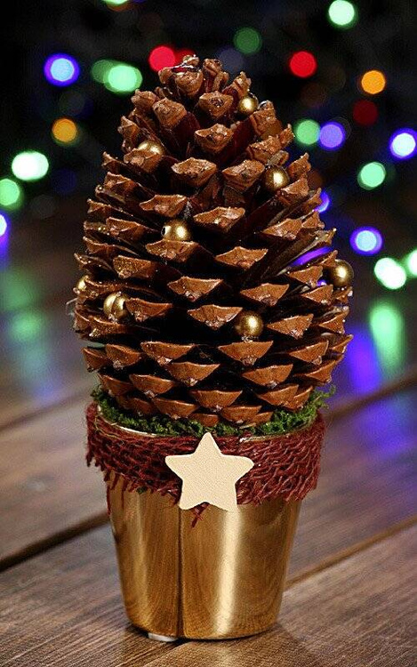 cone on a birch base