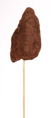 Set von 6 Baumrinde am Stäbchen,  6/30 cm