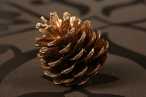 Pine cone, golden 12 pcs/ pkg