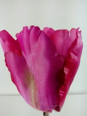 Tulpenköpfe 8 cm 6 Stück lila
