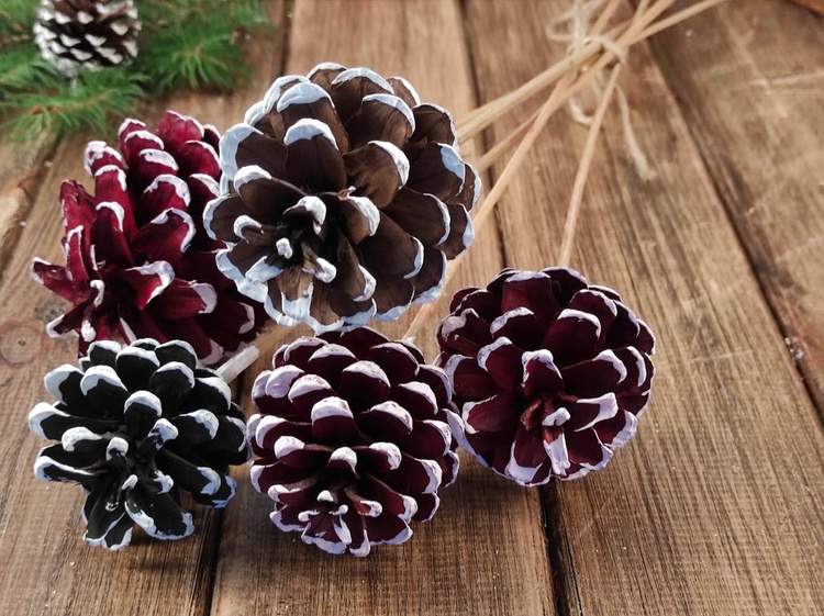 A bouquet of winter cones with whitened edges