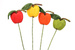 Papierapfel auf Plektrum, 35 cm - gelb, orange, grün, rot
