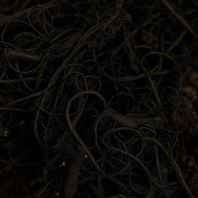 Curly Moos, 30 g, schwarz