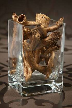 Kopi cone, 12-18 cm, golden, 12 Stücke