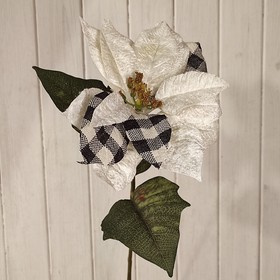 Star of Bethlehem poinsettia 40 cm