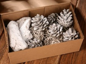 Decorative set,, bleached