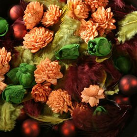 Potpourri - Laura