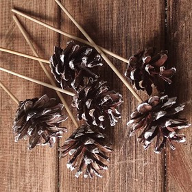 Cones on a wooden peak 6 pcs / pack