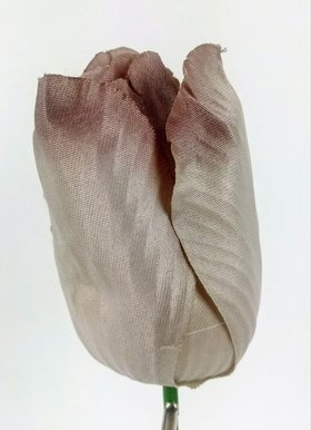 Tulipan główki 8 cm 6 szt szary