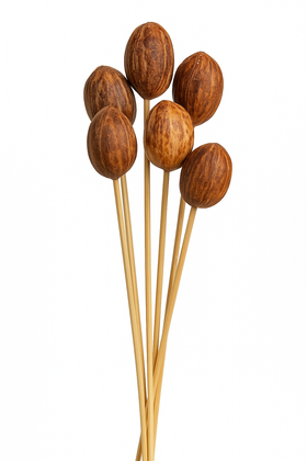 Exotische Früchte am Stäbchen, 6 Stücke - 30 cm, natürlich