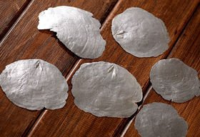 Shells (mother of pearl) 7-8 cm 10 pcs/pkg