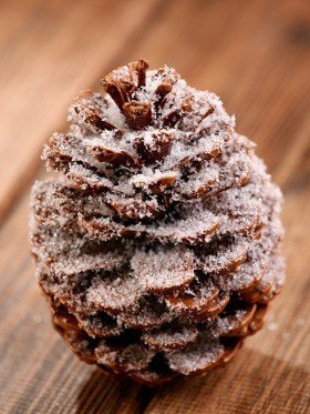 Gigant snowed cone