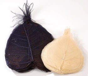 Skeleton leaves, 10-20 cm navy blue-cream