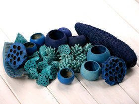 Dekoratives, blaues Set der trockenen Vegetation