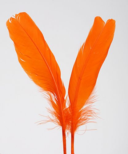 Federn 19 cm 10 Stck - orange