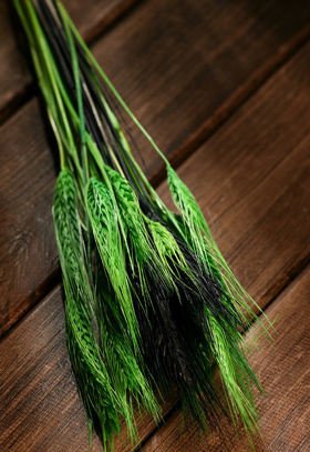 Bukiet suszone trawy ozdobne zboże dekoracyjne zielono-czarne